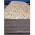 film faced osb for building